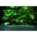 Pièces de guidage de lumière en acrylique personnalisées, usinage CNC - LGB01